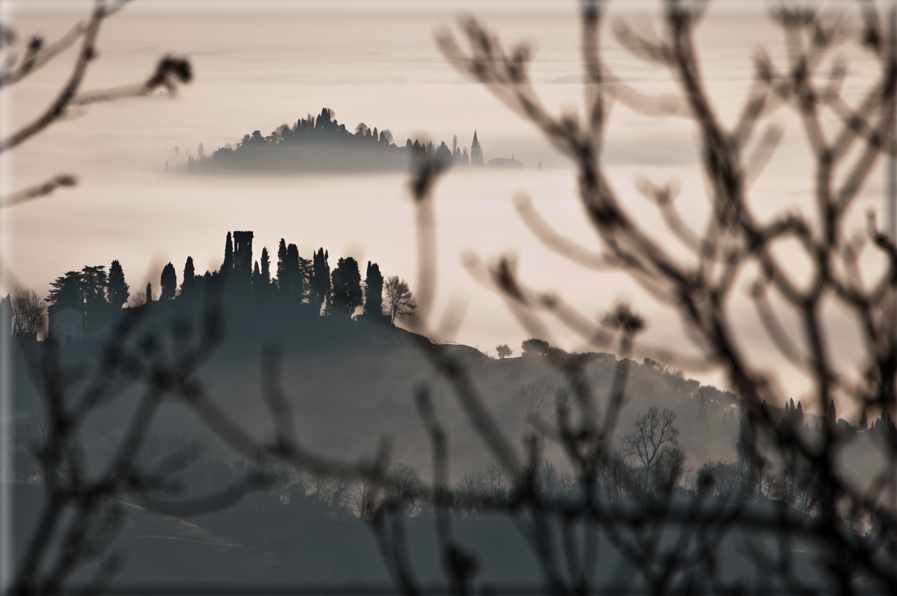 foto Colline di Romano d'Ezzelino nella Nebbia